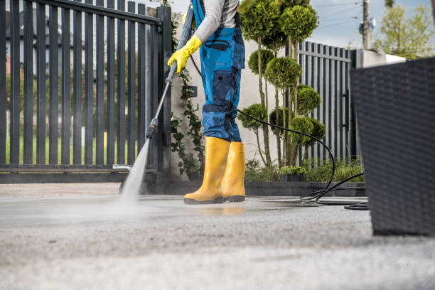 Best Patio and Deck Pressure Washing  in Miami Beach, FL